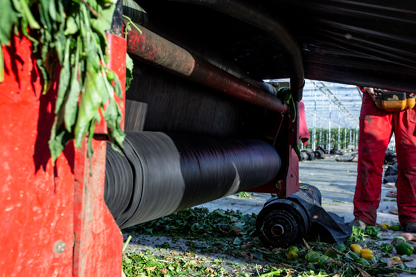 Jogetex Looftrekdoek voor teeltwisseling in de tuinbouw