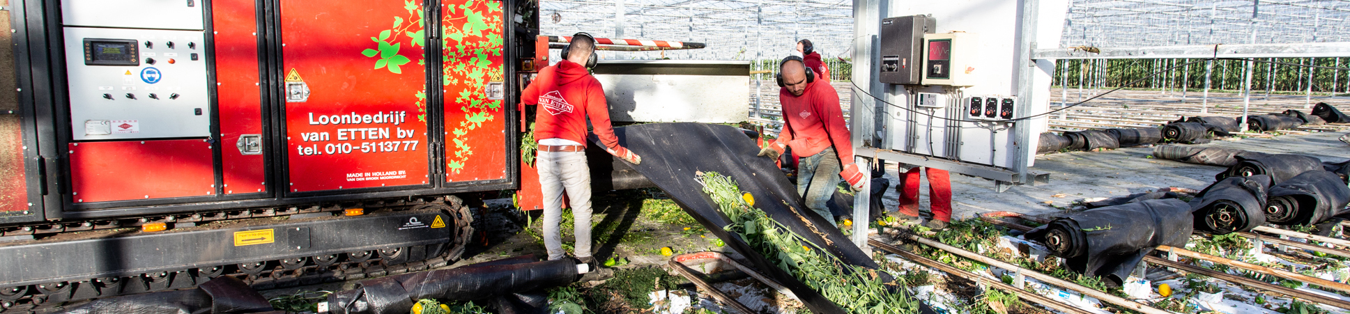 Jogetex Looftrekdoek voor teeltwisseling in de tuinbouw