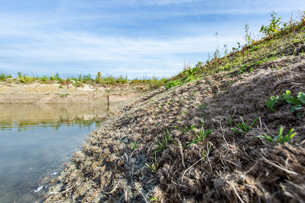 Ecomat K400 natuurlijke erosiebescherming proef in Zeeland Waterschap Deltastromen