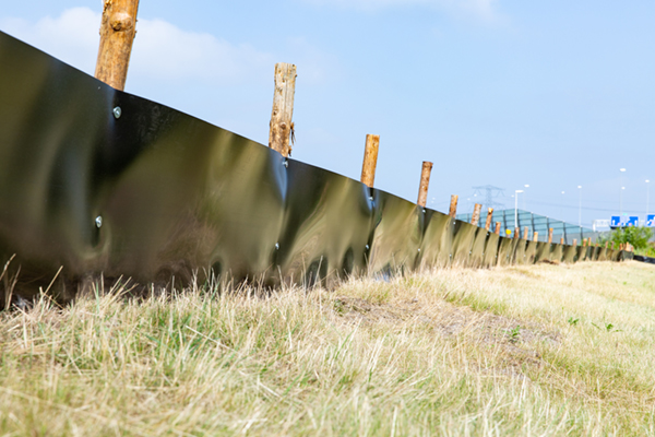 GreenBlue Urban ReRoot 2000 Wortelwering beschermt Rugstreeppad tijdens bouw