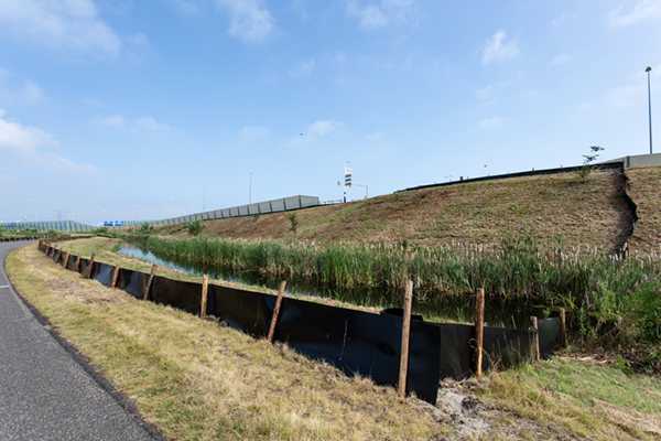 GreenBlue Urban ReRoot 2000 Wortelwering beschermt Rugstreeppad tijdens bouw