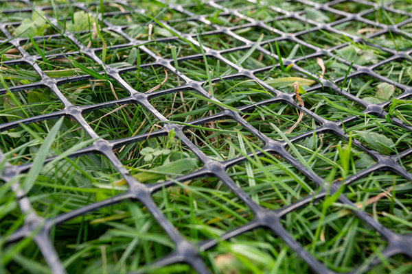 Gras bij stadion ADO Den Haag wordt beschermd door Tensar geogrid