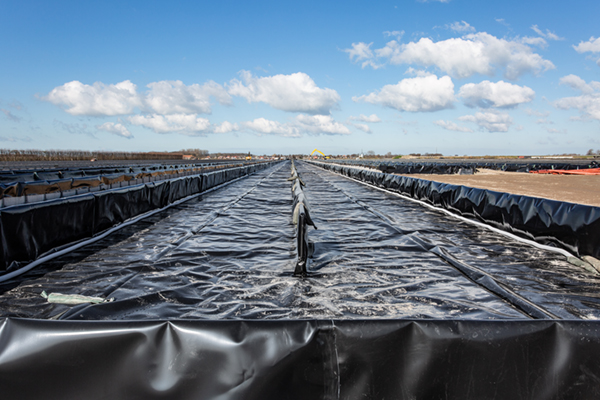 LDPE folie voor vijverbouw Delta Farms Zeeland