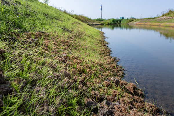 Anti-erosiemat Ecomat K400 beschermt oevers tegen erosie